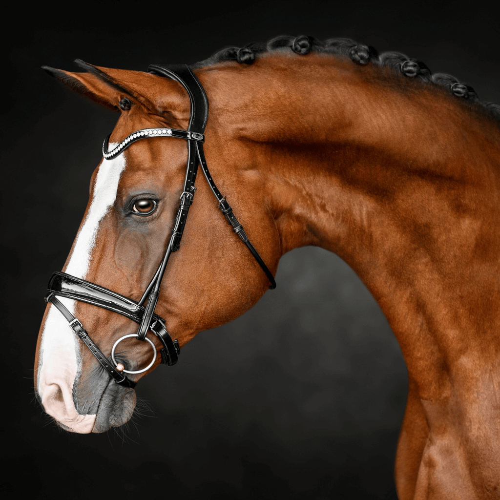 Solo - Harmony (Black) – Solo Equine Inc