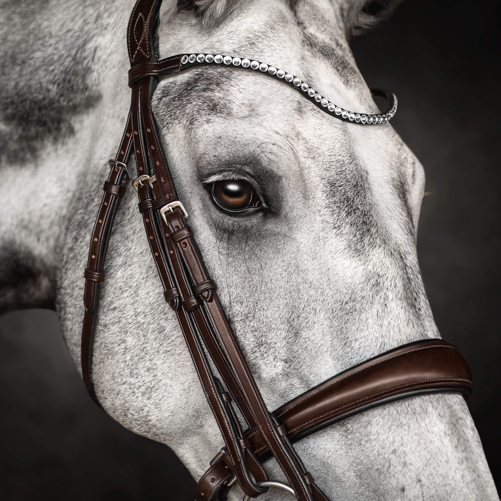 小物 2023 BRIDLE POROSUS / PALM-V2 小物 2023 BRIDLE POROSUS / PALM-V2 2023 BRIDLE POROSUS / PALM-V2