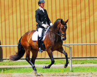 My Thoughts On Suppleness