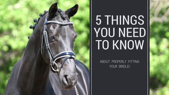 5 Things You Need To Know About Bridle Fit