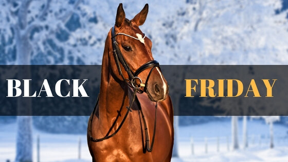 Black Friday Bridle Blowout