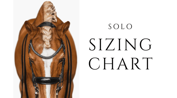 How To Measure Your Horse For A New Solo Bridle