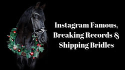 Instagram Famous, Breaking Records, and Shipping Bridles