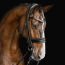 Solo Lydia - Double Bridle