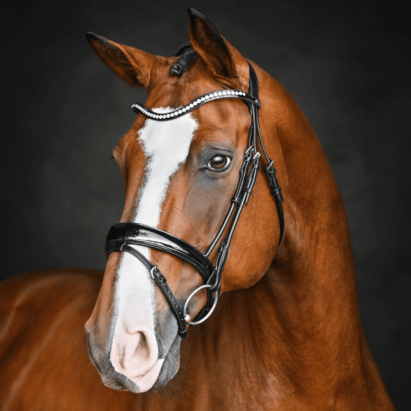 Solo - Harmony (Black) – Solo Equine Inc