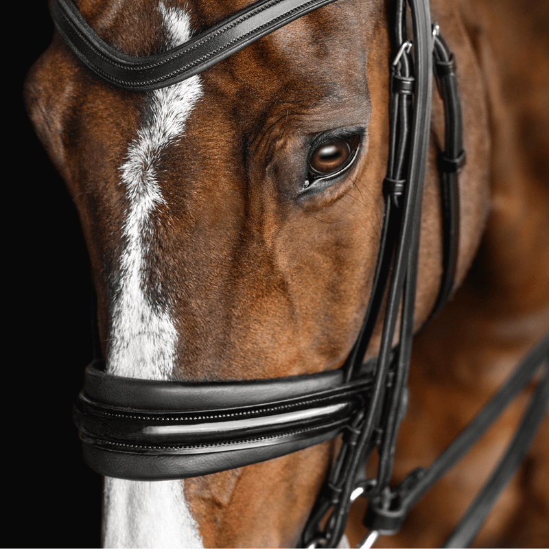 Solo Lydia - Double Bridle