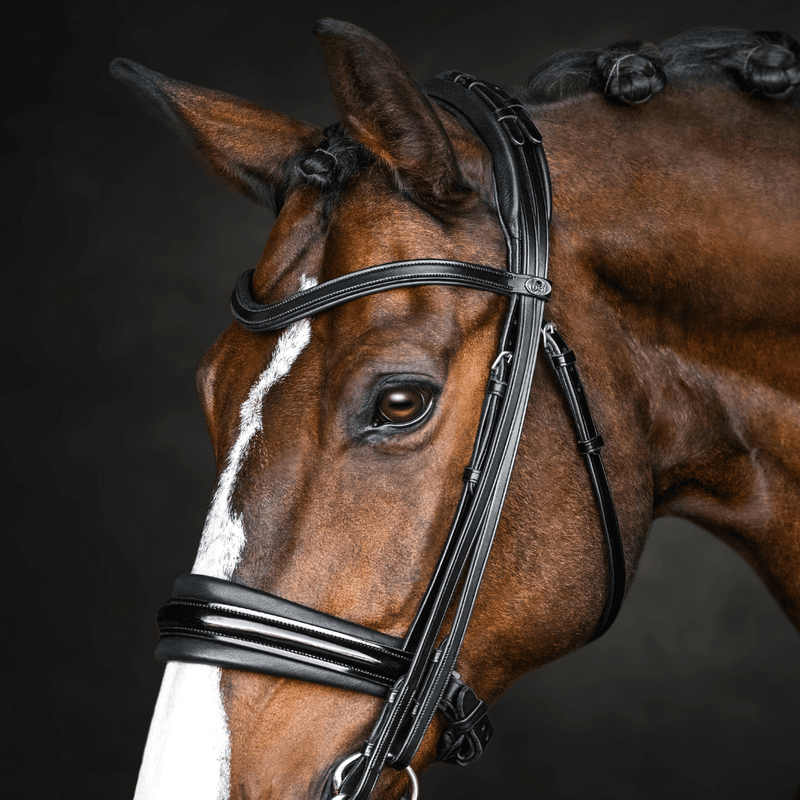 Solo Lydia - Double Bridle