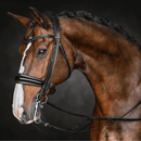 Solo Lydia - Double Bridle