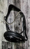 Midnight Python Snaffle