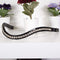 White Stone Browband